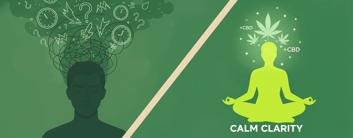 Best Cannabis Strains for Anxiety